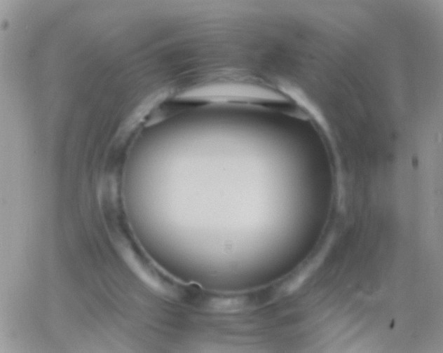 X0000065980057200603172125