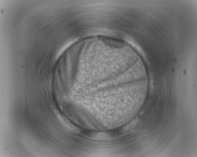 X0000065980058200603172125