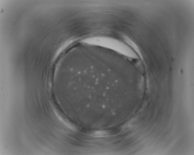 X0000065980059200603172125