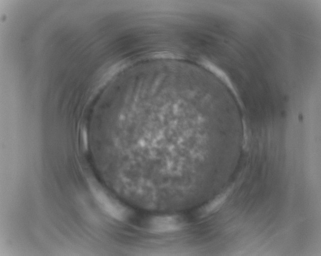 X0000065980061200603172125