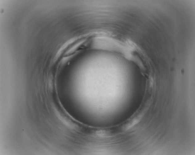 X0000065980064200603172125