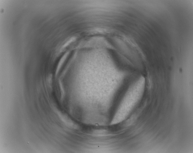 X0000065980066200603172125