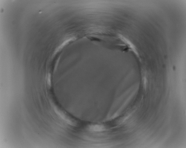 X0000065980067200603172125