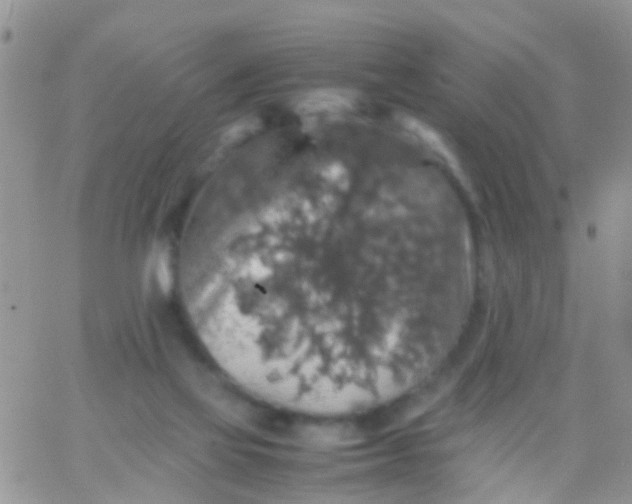 X0000065980069200603172125