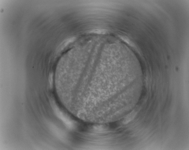 X0000065980070200603172125