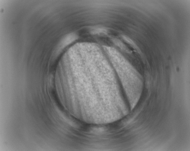 X0000065980071200603172125