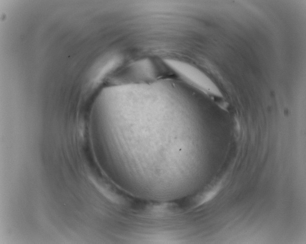 X0000065980072200603172126