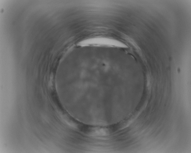 X0000065980073200603172126