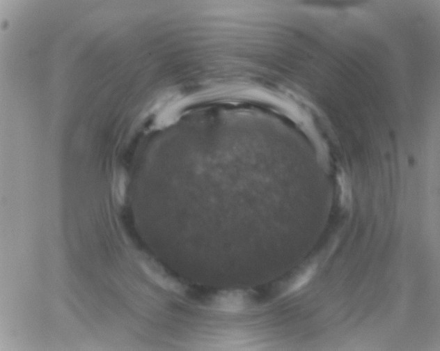 X0000065980076200603172126