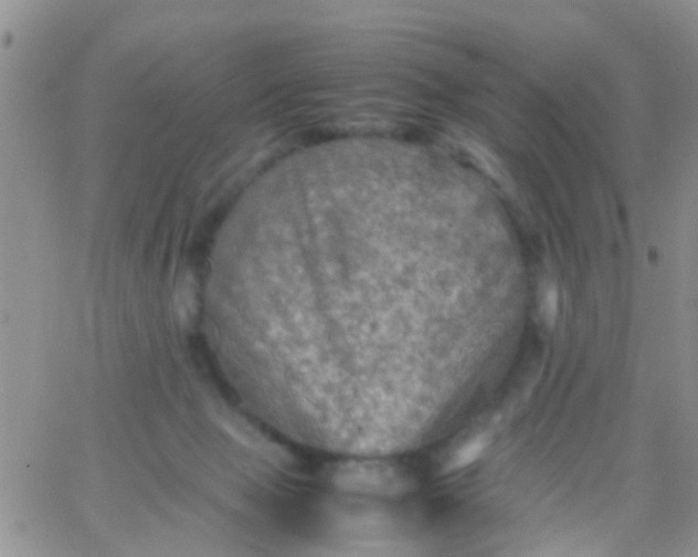 X0000065980077200603172126