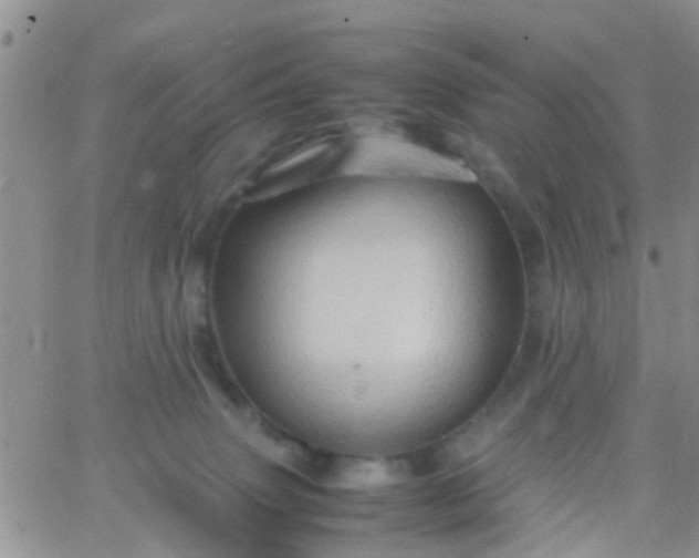 X0000065980083200603172126