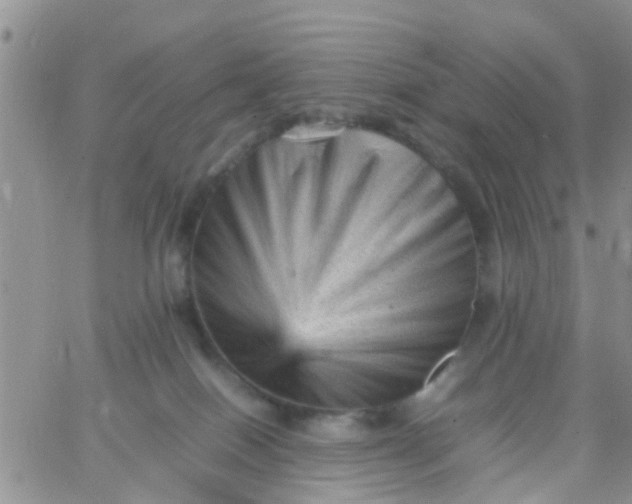 X0000065980086200603172126