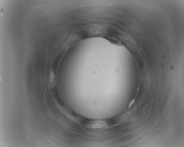 X0000065980087200603172126