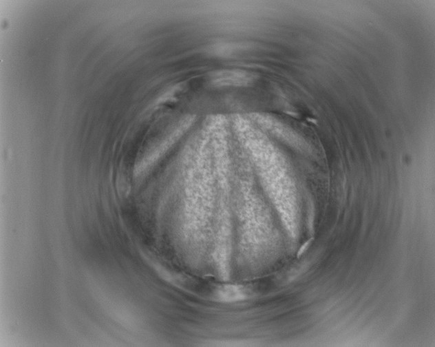 X0000065980091200603172126