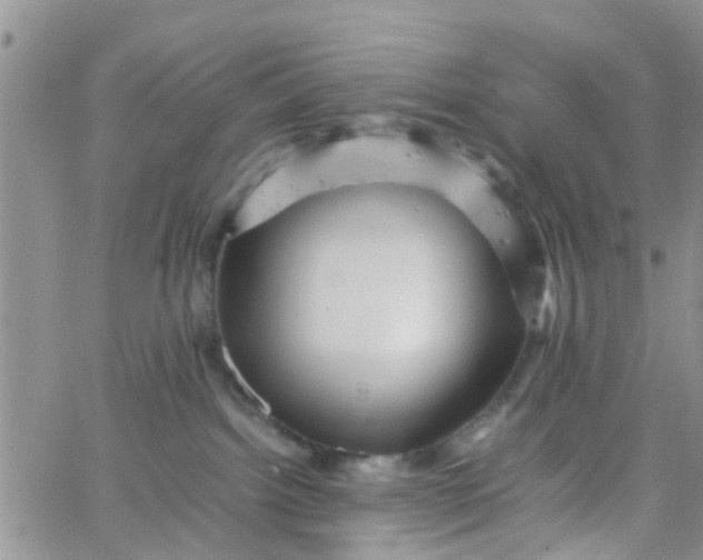 X0000065980092200603172126