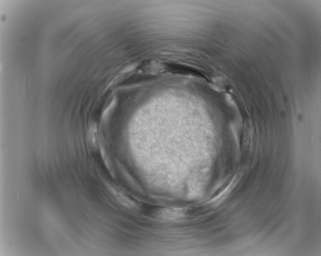 X0000065980094200603172126