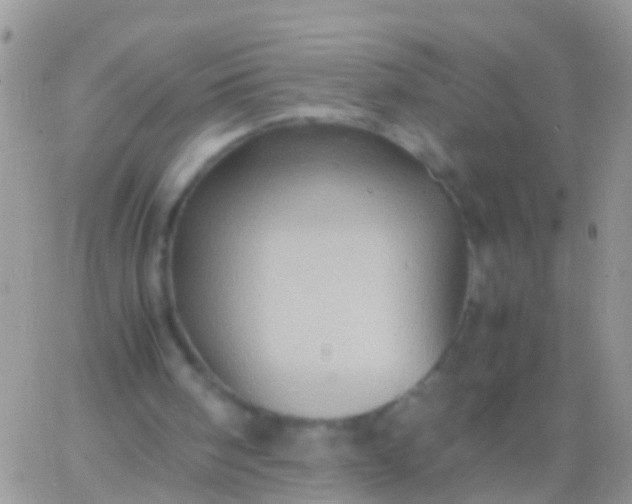 X0000065980098200603172125