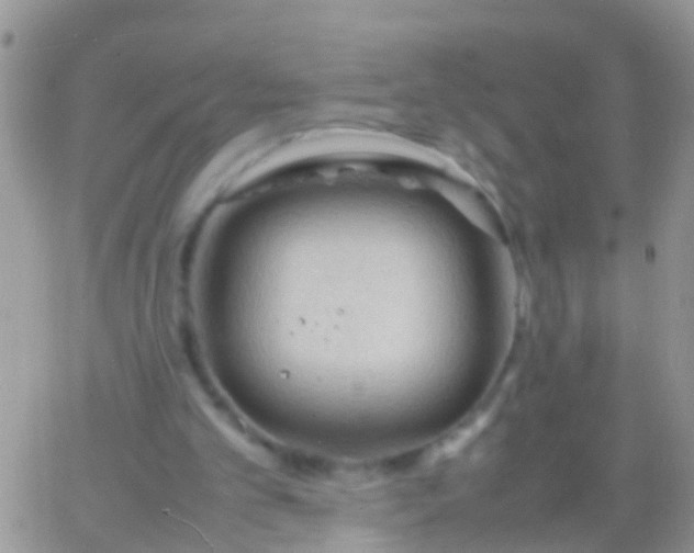 X0000065980101200603172125