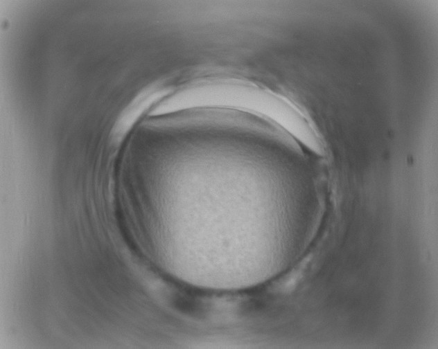 X0000065980103200603172125