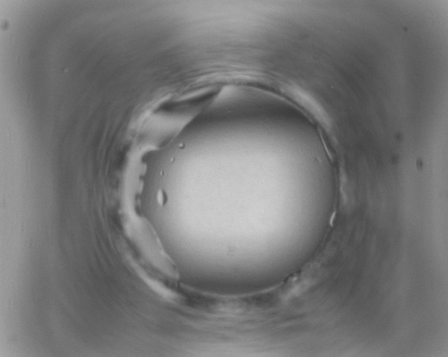 X0000065980105200603172125