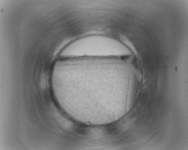 X0000065980106200603172125