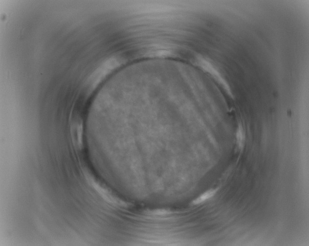 X0000065980110200603172125