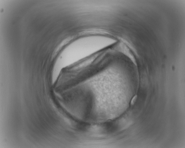 X0000065980111200603172125