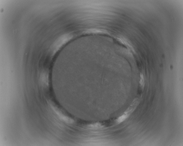 X0000065980112200603172125