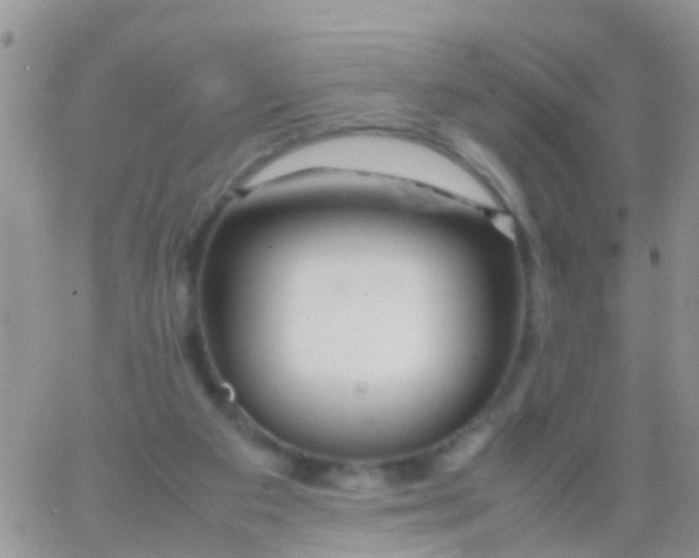 X0000065980113200603172125