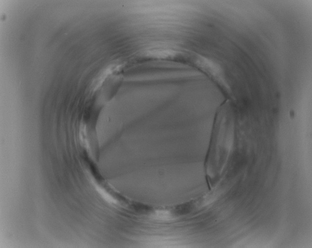 X0000065980114200603172125