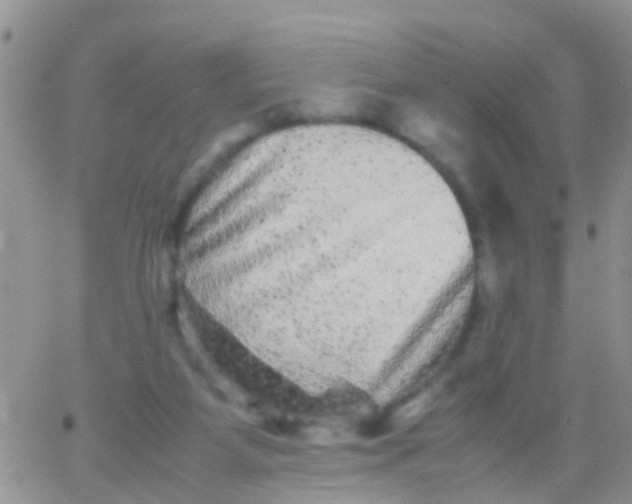 X0000065980115200603172125