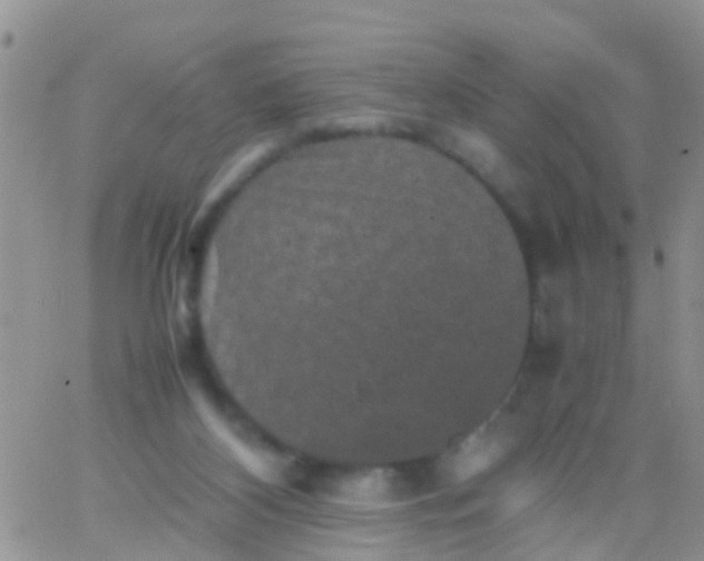 X0000065980116200603172125