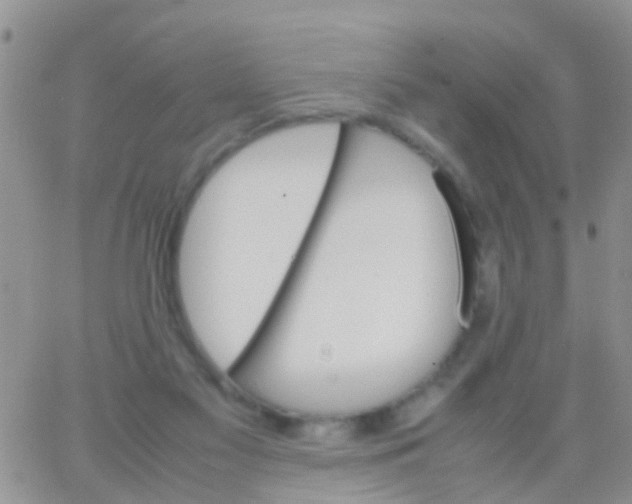 X0000065980117200603172125