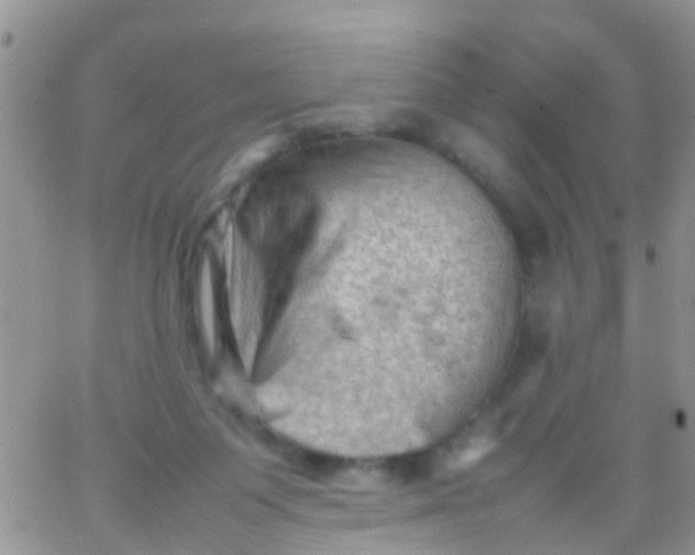 X0000065980119200603172125