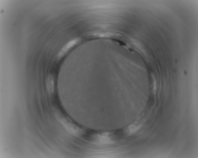 X0000065980120200603172125