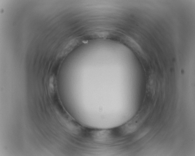 X0000065980122200603172125