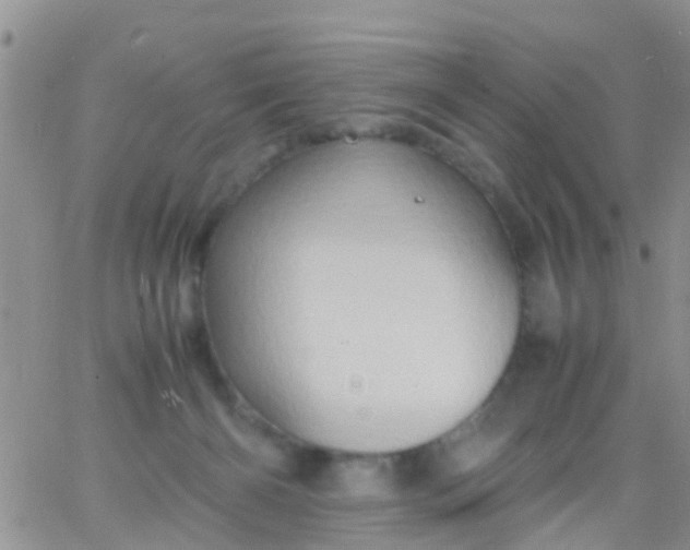 X0000065980126200603172125