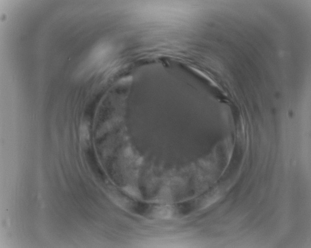 X0000065980127200603172125