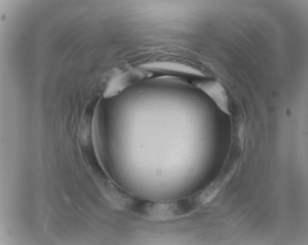 X0000065980129200603172125