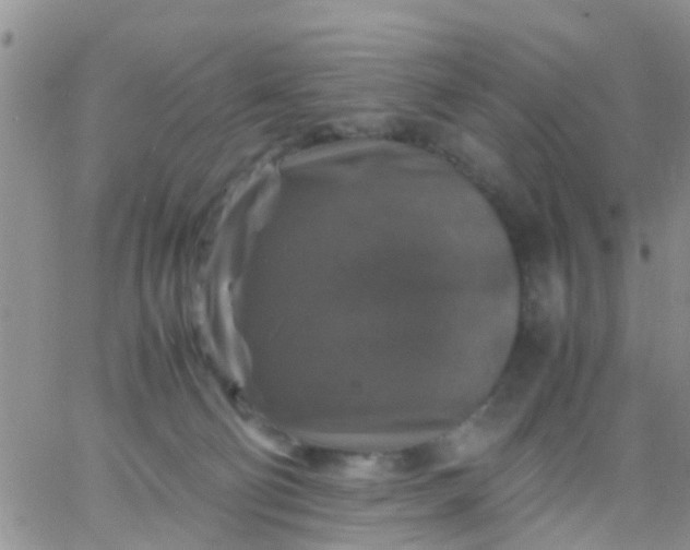 X0000065980130200603172125