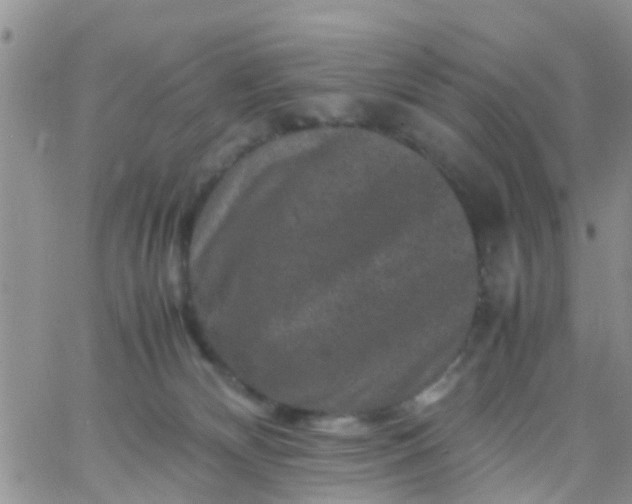 X0000065980132200603172125