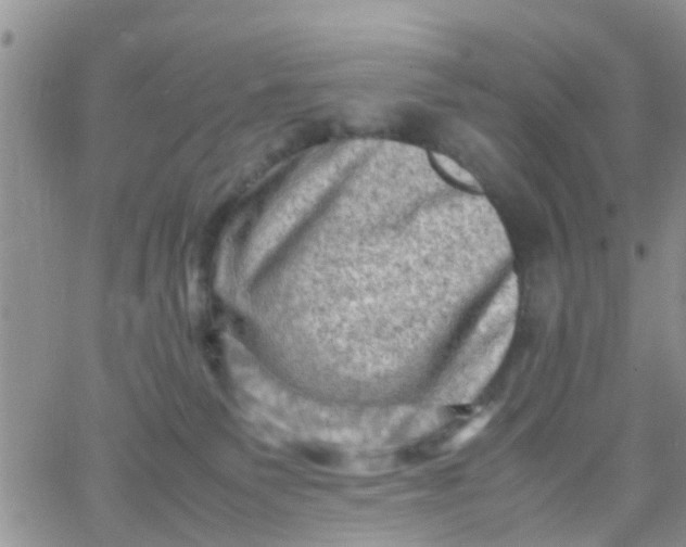 X0000065980135200603172125