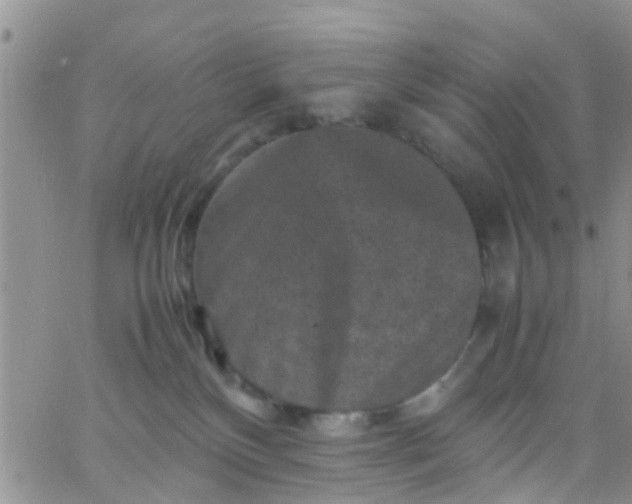 X0000065980136200603172125