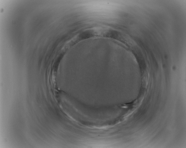 X0000065980137200603172124