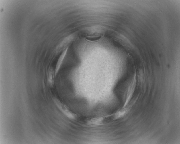 X0000065980138200603172124