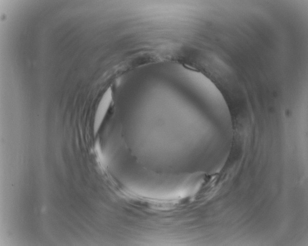 X0000065980139200603172124