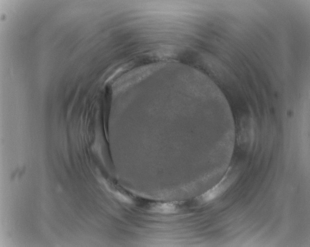 X0000065980140200603172124