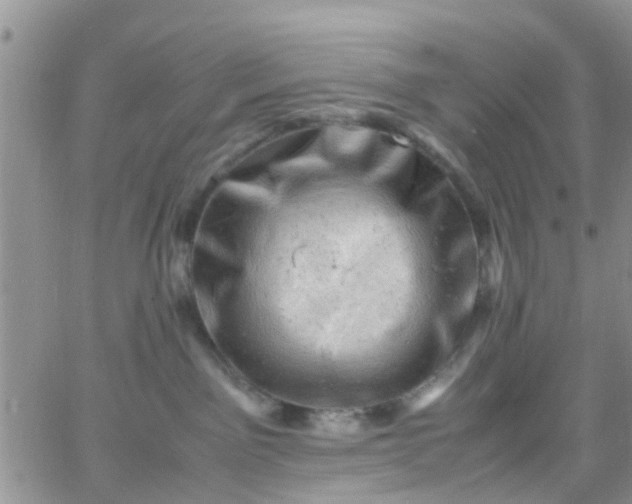 X0000065980141200603172124