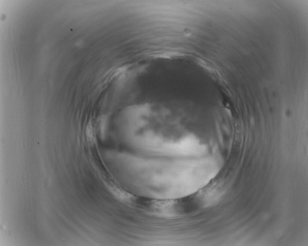 X0000065980143200603172124