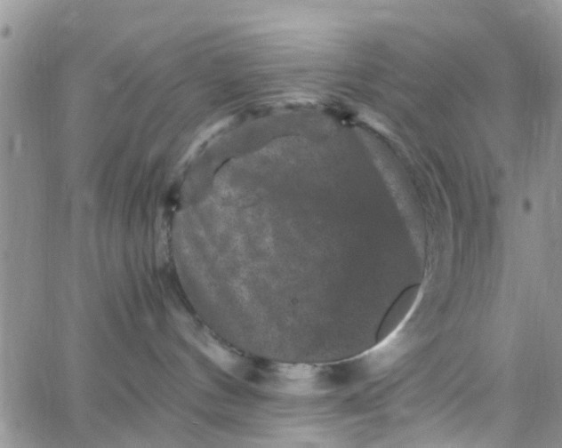 X0000065980144200603172124